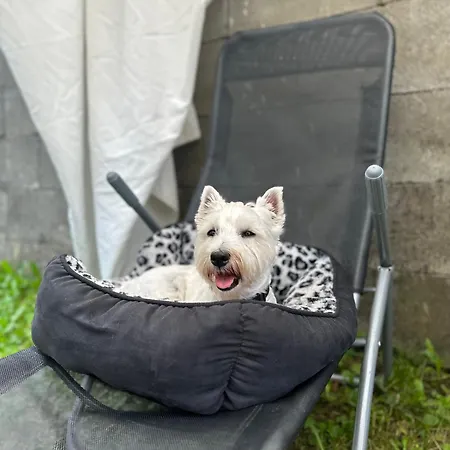 Kokava Linia 2 Chalet Kokava nad Rimavicou