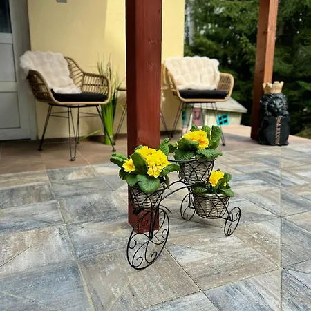 Chalet Kokava Linia 2 *